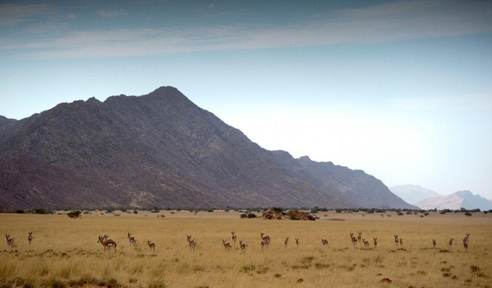 Purros Okahirongo Elephant Lodge المظهر الخارجي الصورة